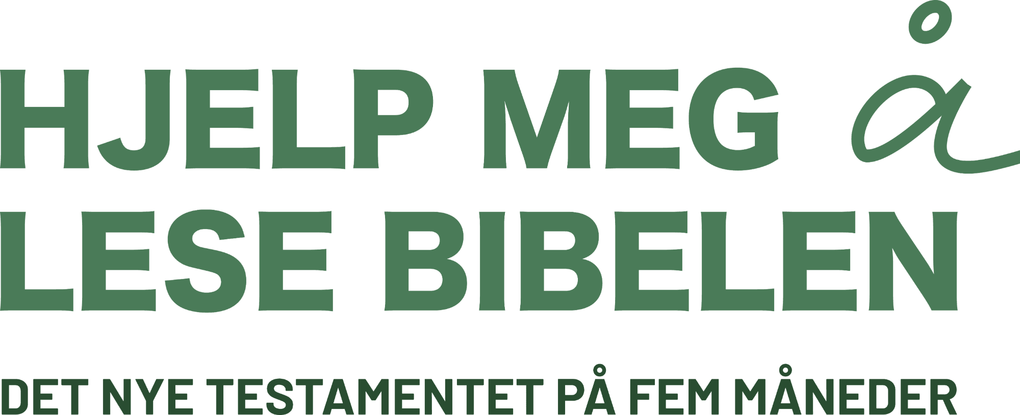 Hjelp meg å lese Bibelen – Det nye testamentet på fem måneder